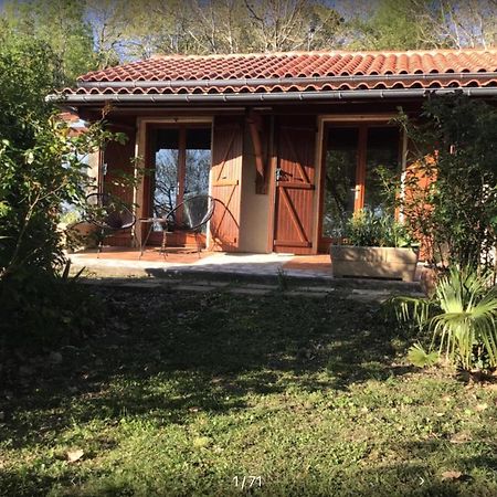 Le Gite De Gascogne Lectoure Kültér fotó